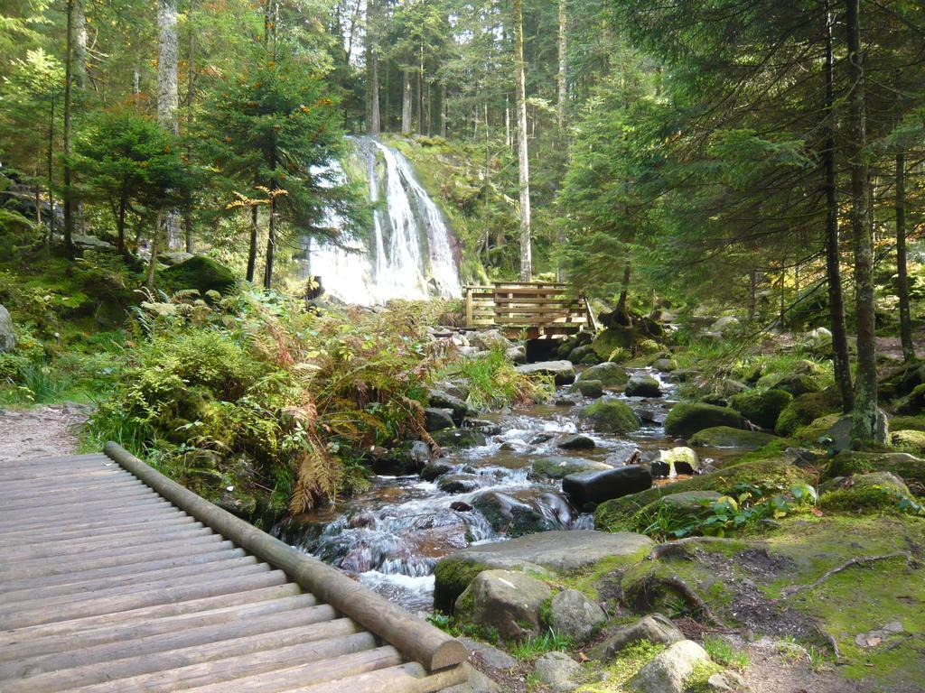 Chalet Luxe 12 Personnes Spa Sauna Vosges-Gerardmer Le Tholy Zewnętrze zdjęcie
