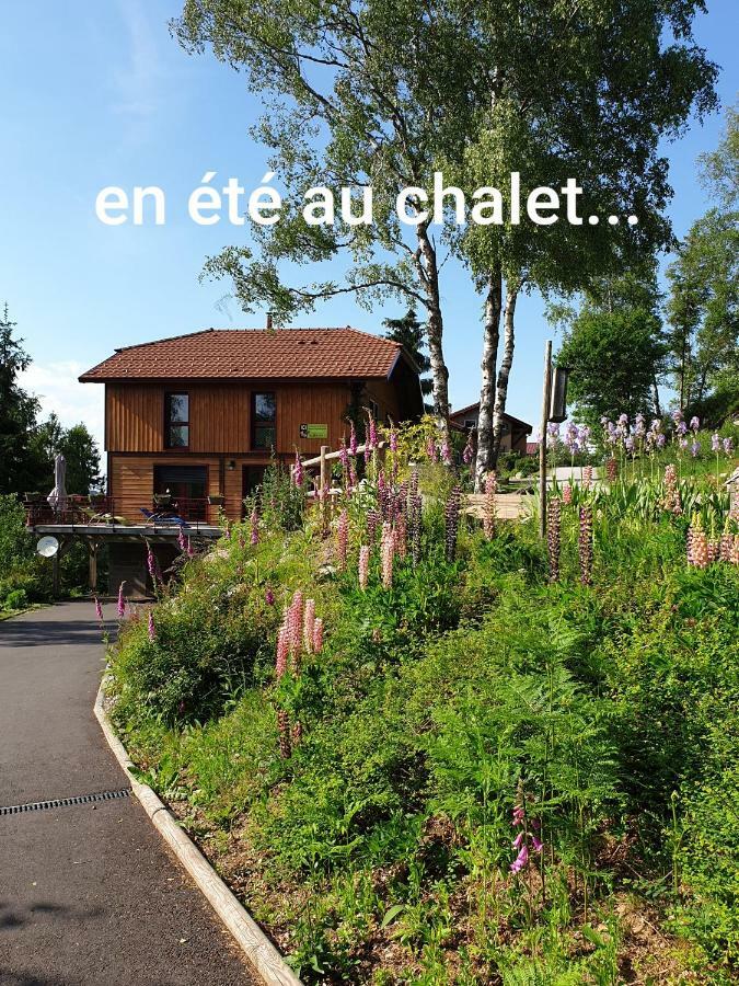 Chalet Luxe 12 Personnes Spa Sauna Vosges-Gerardmer Le Tholy Zewnętrze zdjęcie